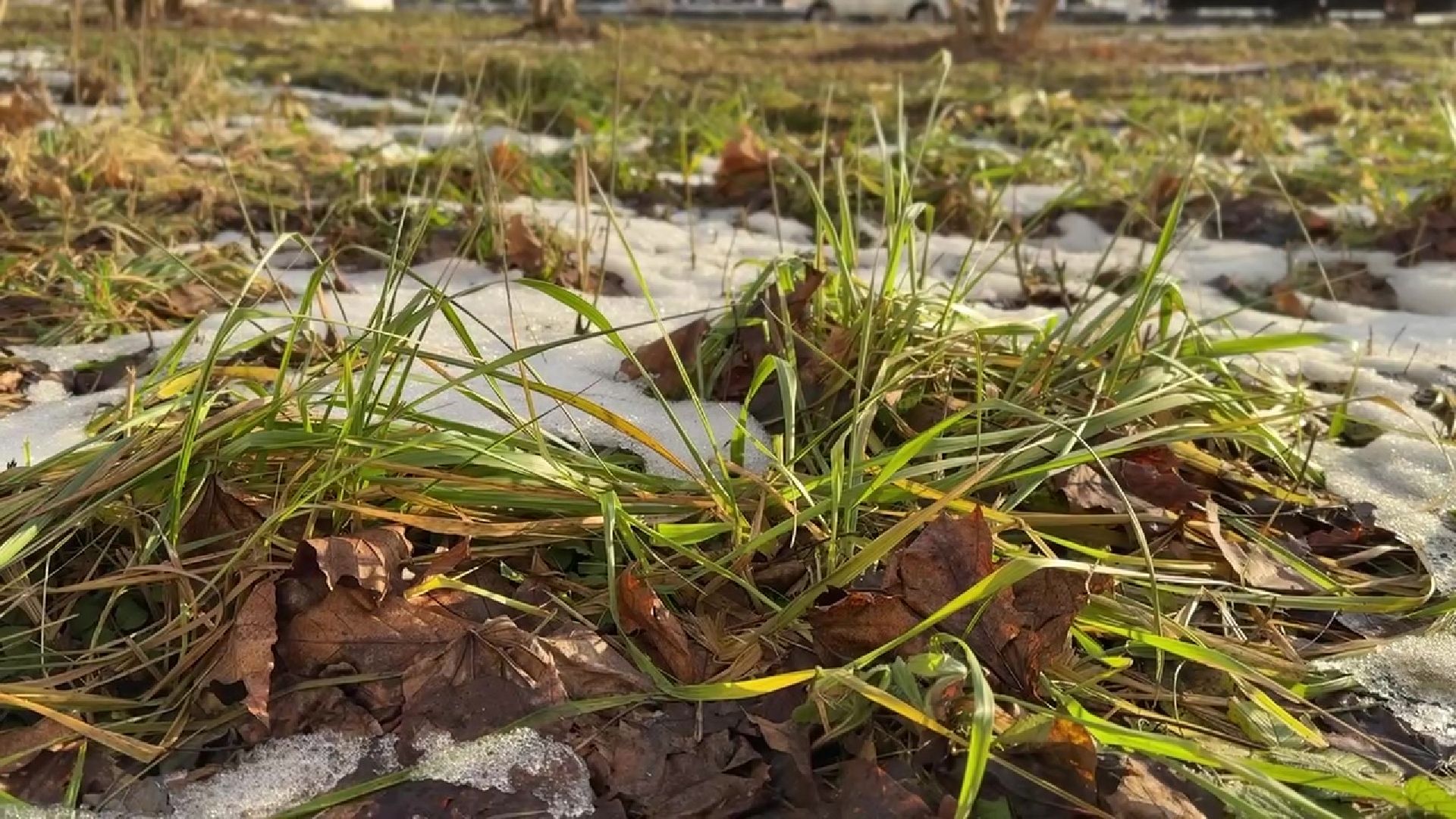 реутов, вертикалки, погода, парк, пруд, зима, весна зимой,