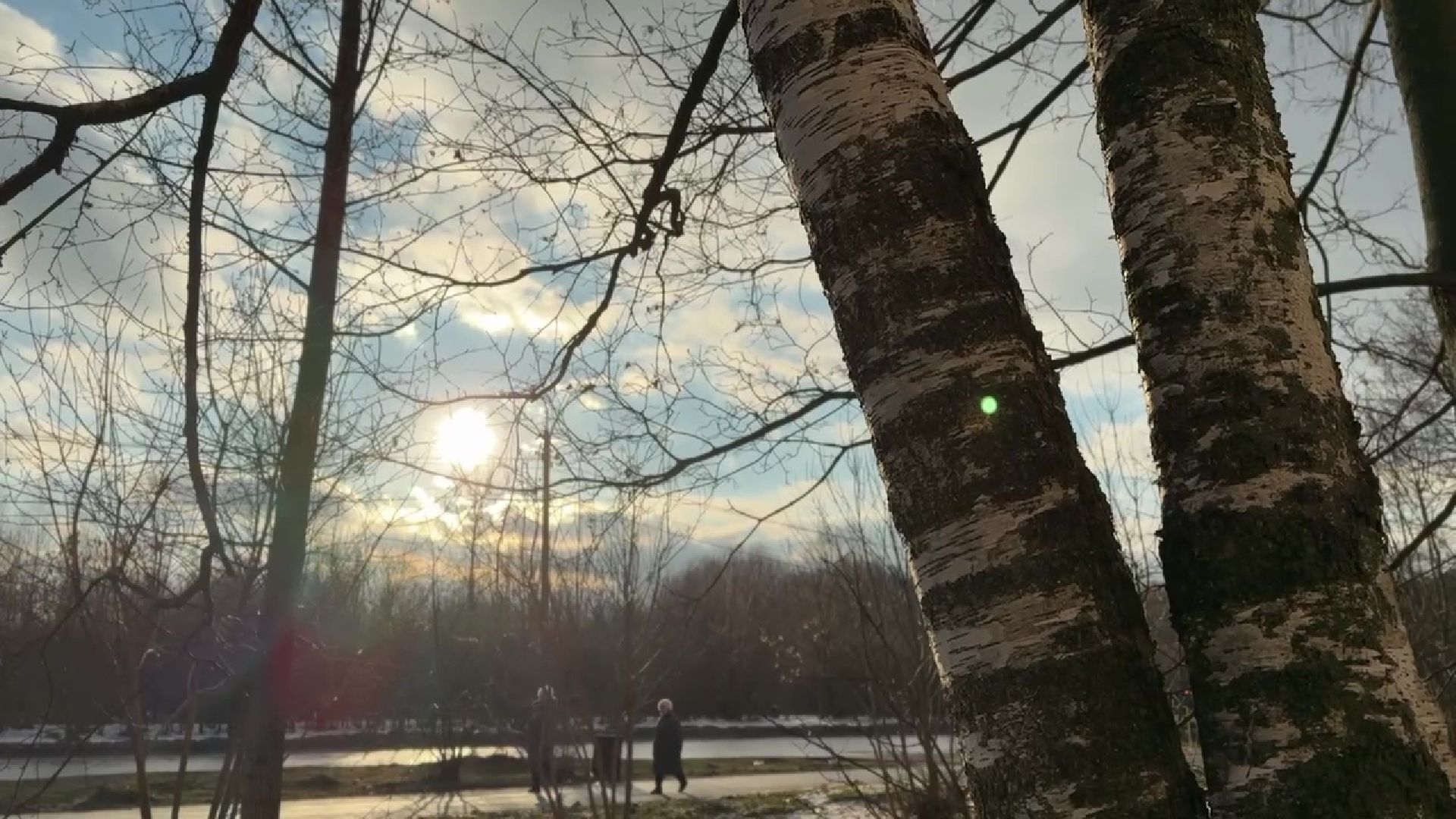 реутов, вертикалки, погода, парк, пруд, зима, весна зимой,