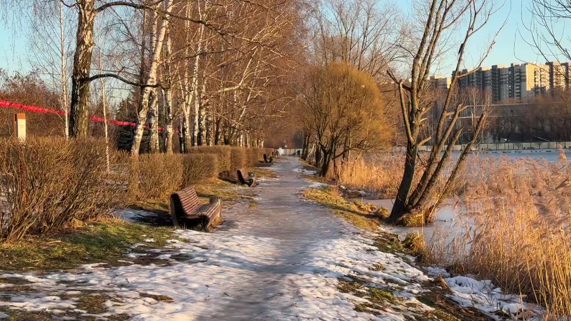 реутов, вертикалки, погода, парк, пруд, зима, весна зимой,