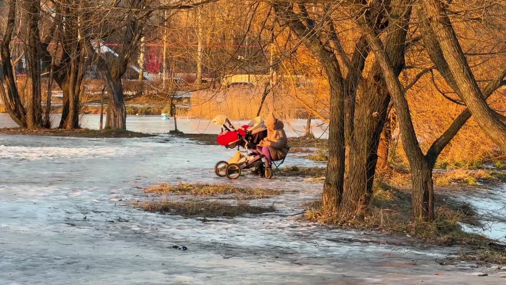 реутов, вертикалки, погода, парк, пруд, зима, весна зимой,