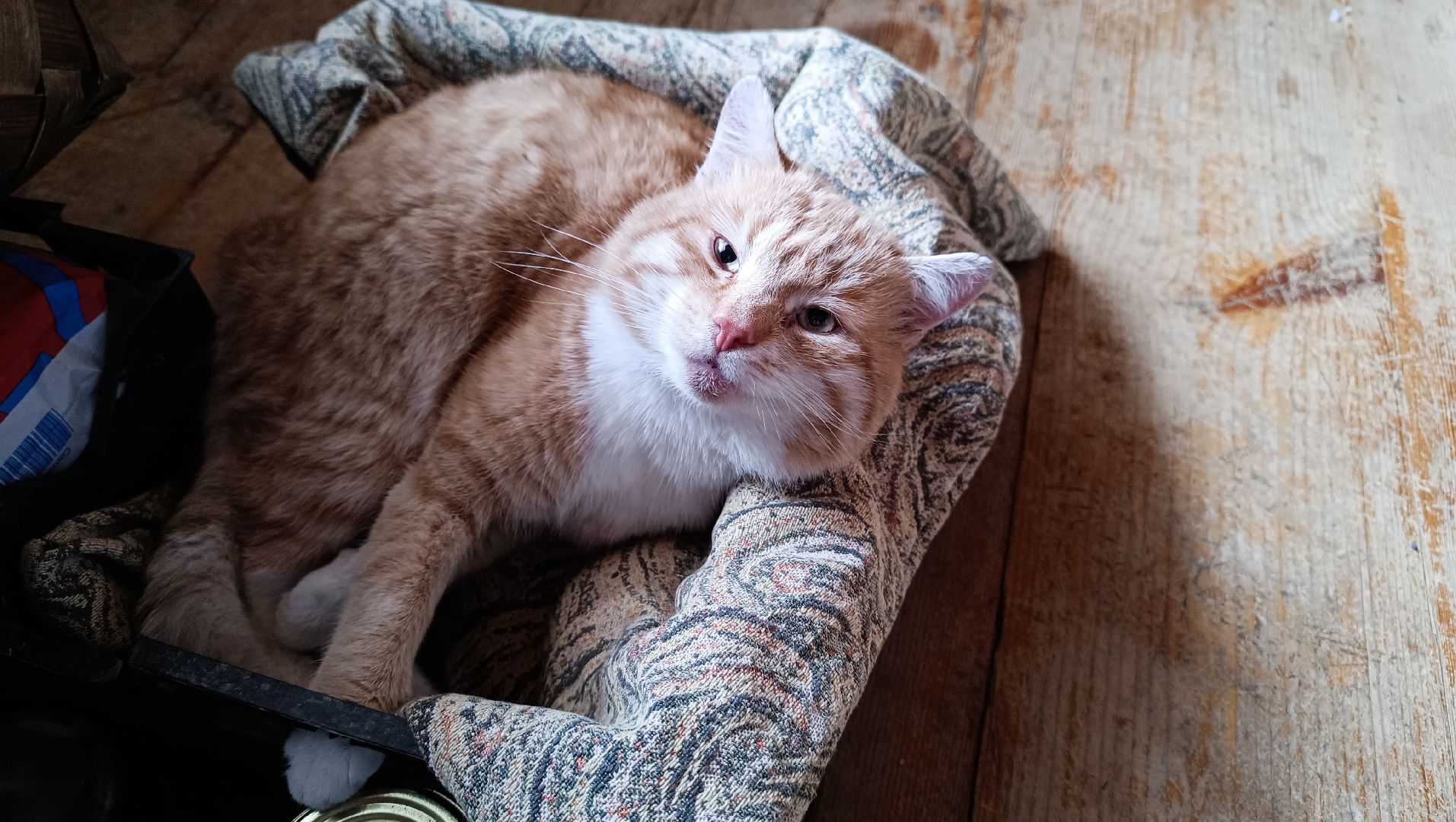 книги, библиотека, лобня,