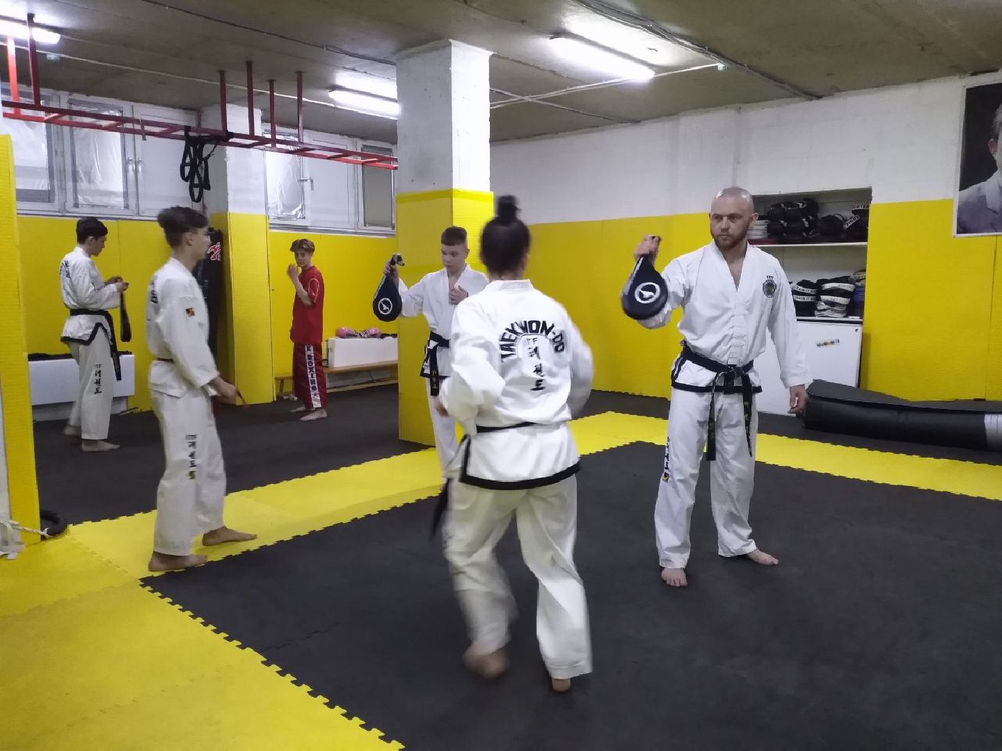 спорт, тхэквондо, чемпионат мира, Лосино-Петровский