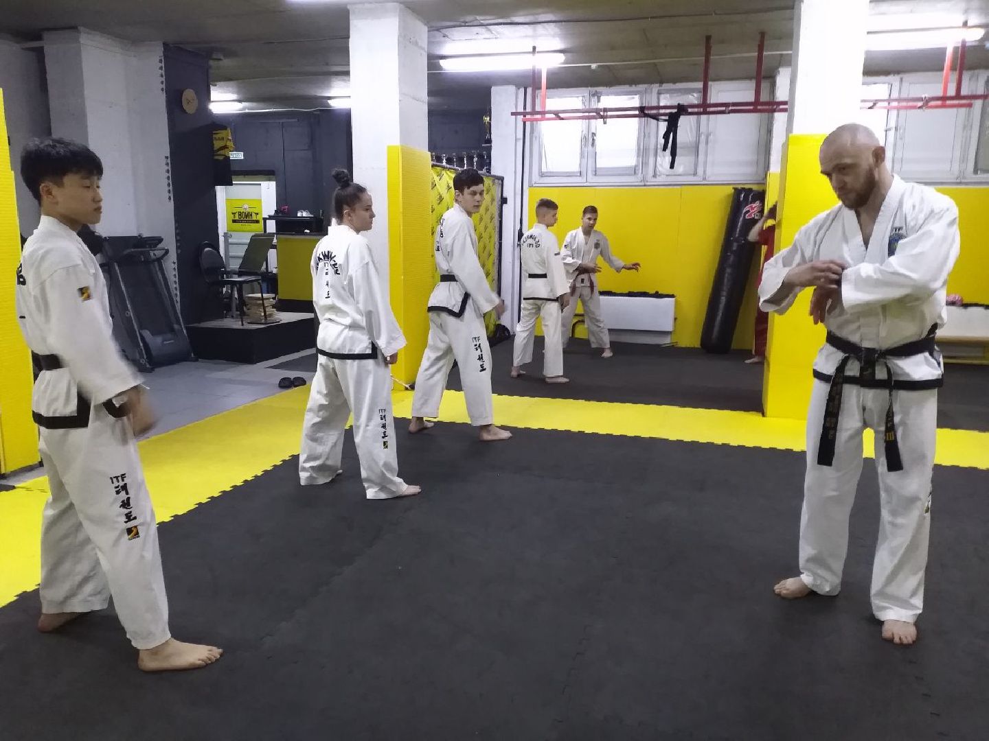 спорт, тхэквондо, чемпионат мира, Лосино-Петровский