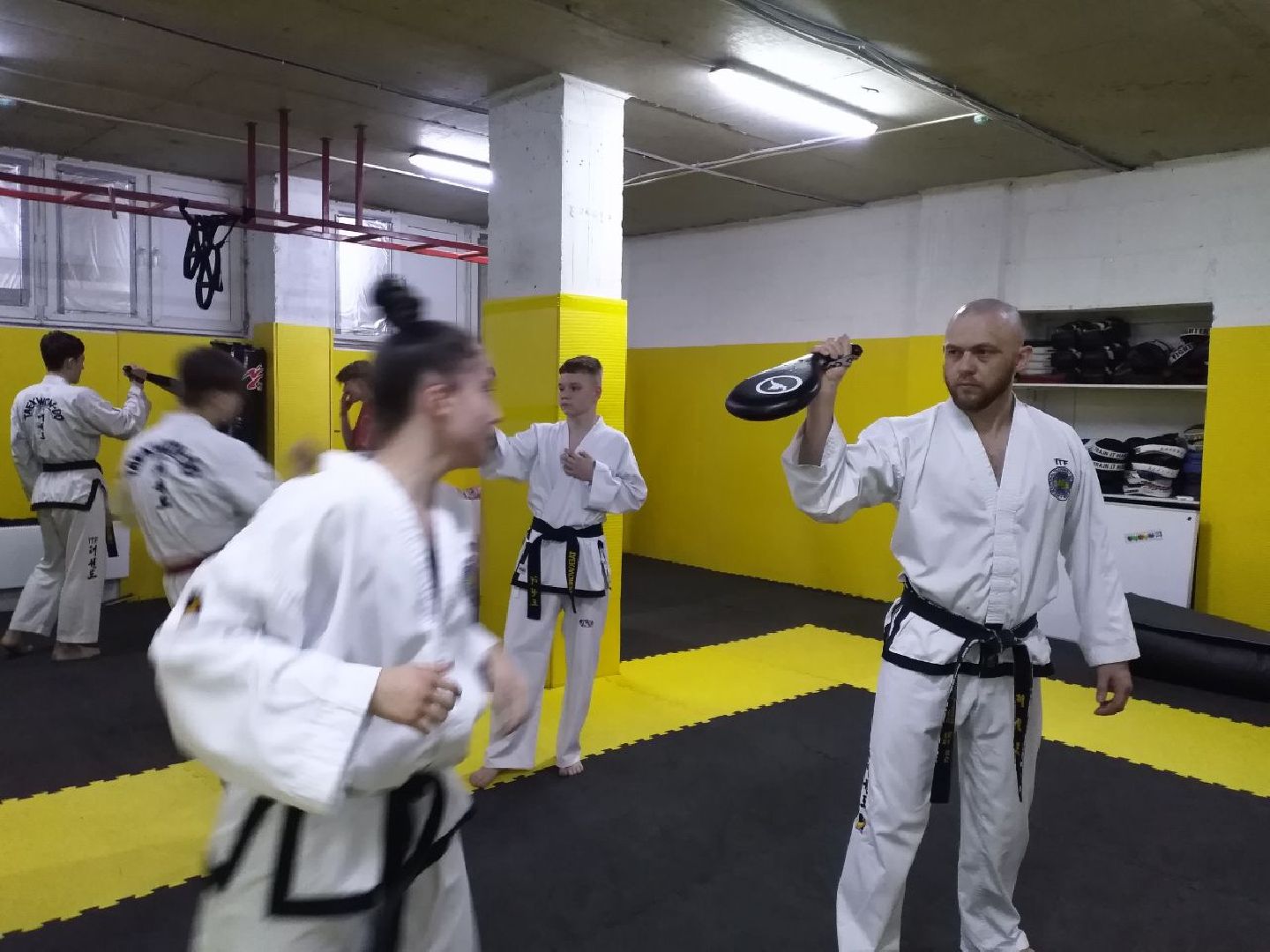 спорт, тхэквондо, чемпионат мира, Лосино-Петровский