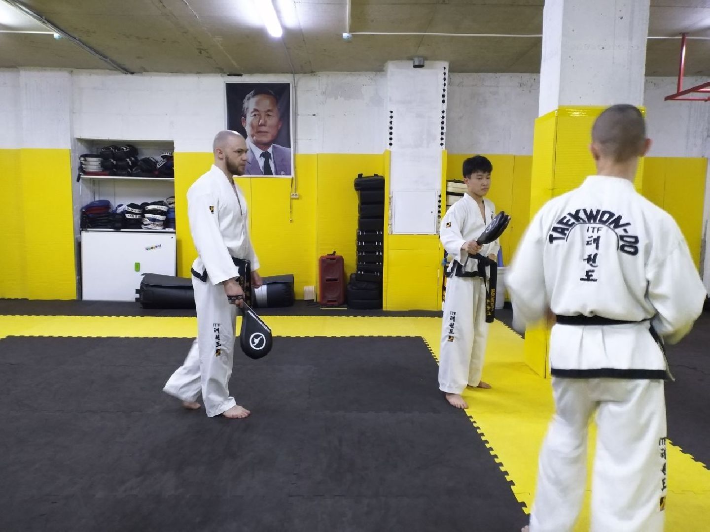 спорт, тхэквондо, чемпионат мира, Лосино-Петровский