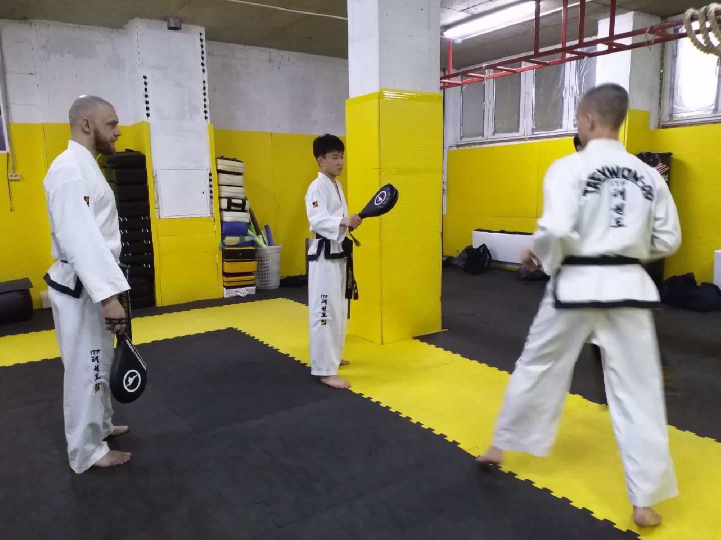 спорт, тхэквондо, чемпионат мира, Лосино-Петровский