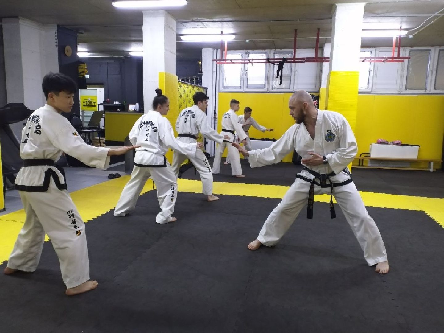 спорт, тхэквондо, чемпионат мира, Лосино-Петровский