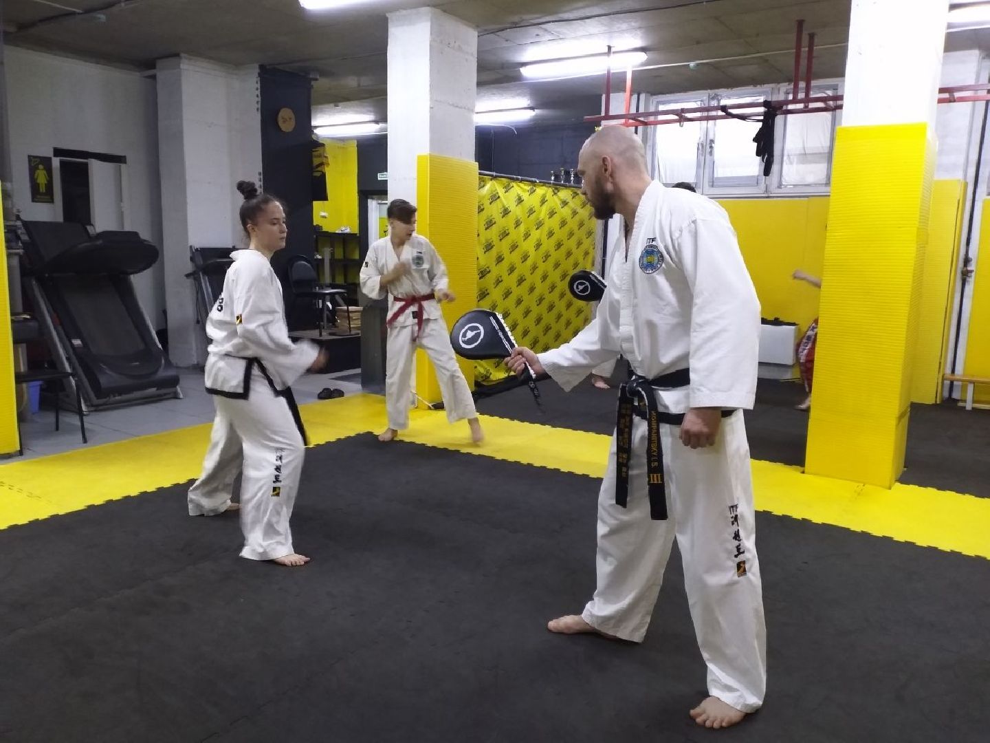 спорт, тхэквондо, чемпионат мира, Лосино-Петровский