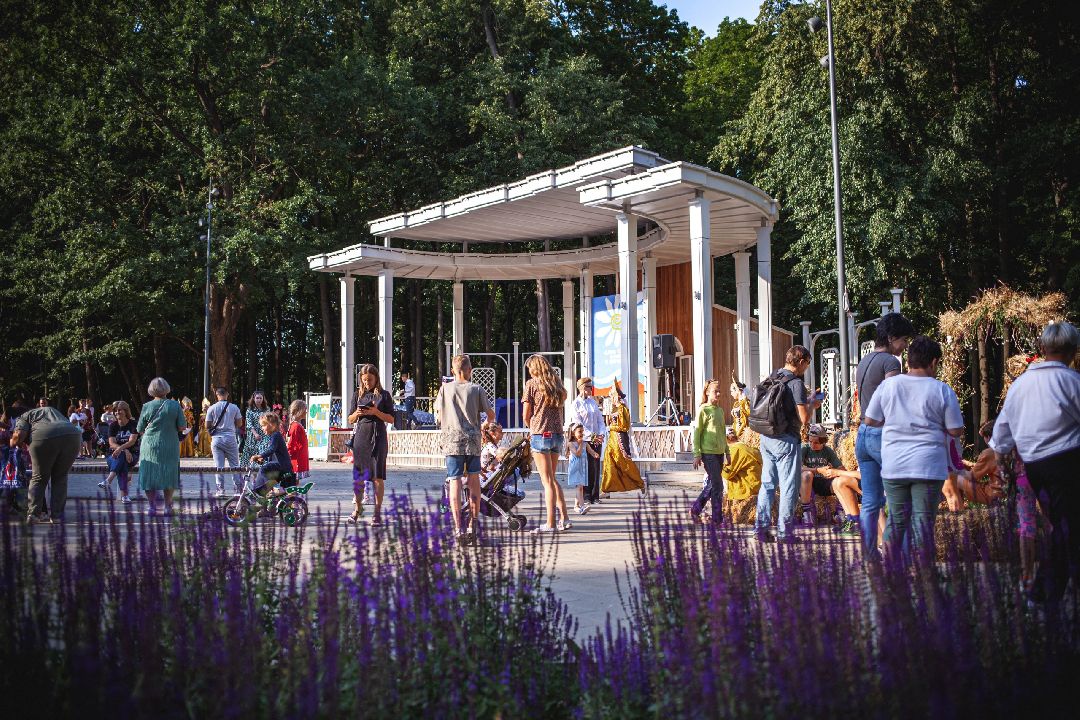 Воскресенск, общество