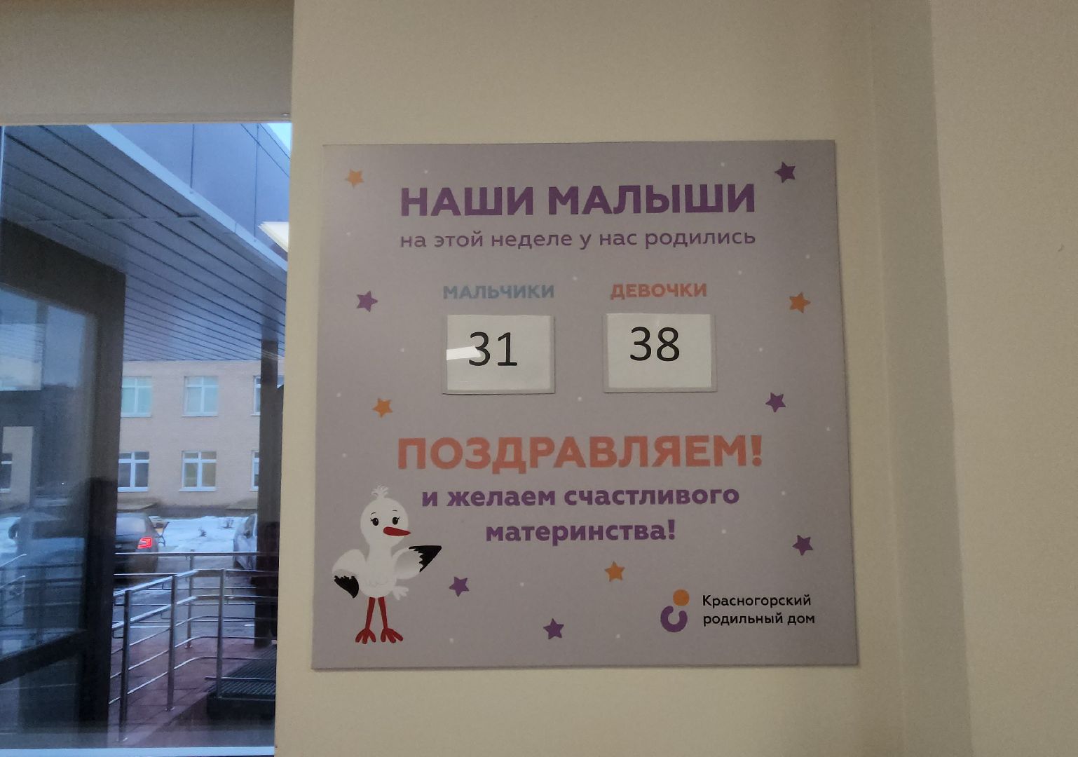 вертикалки, роддом, красногорск, новорожденные,