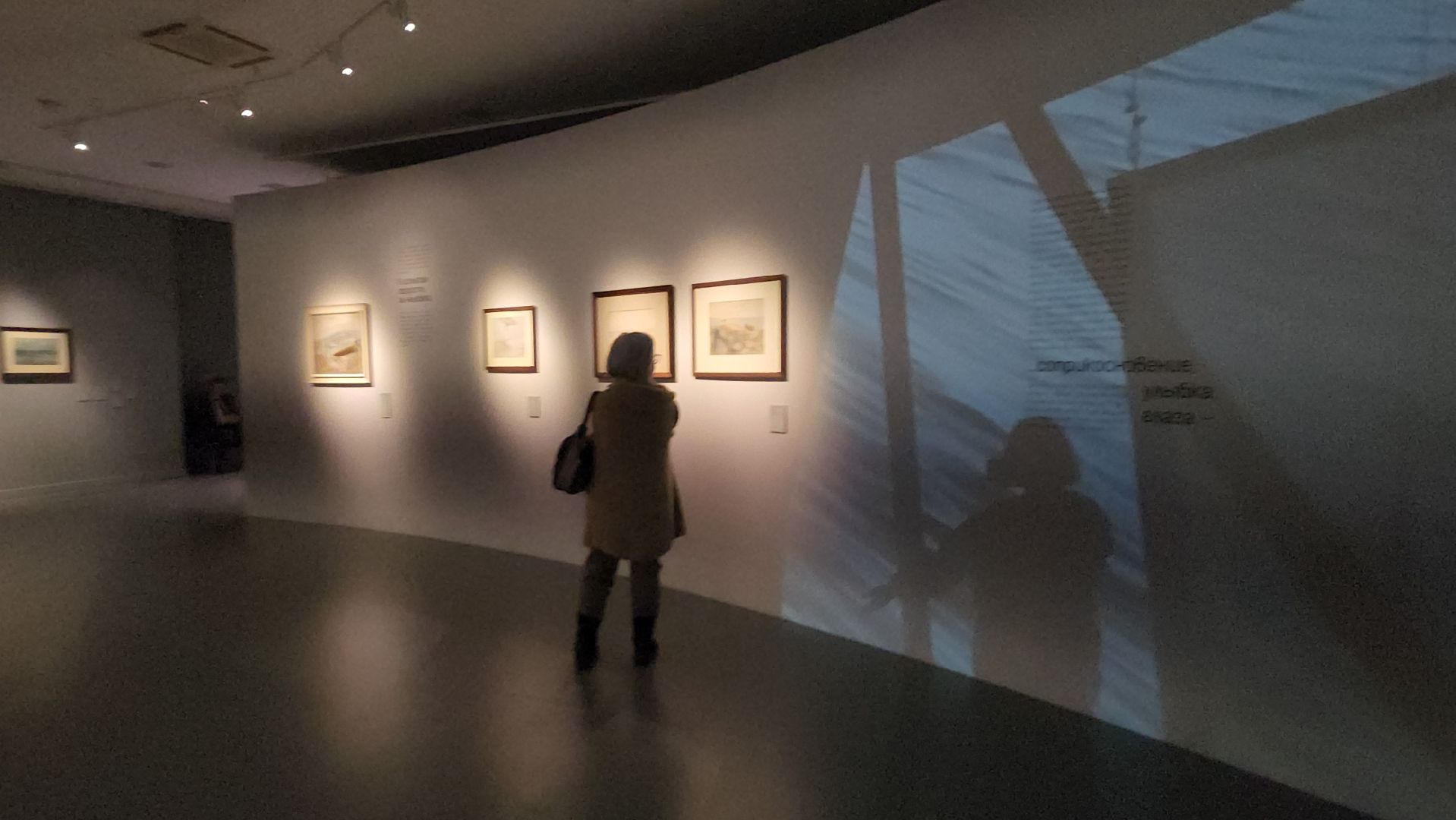 музей, Выставка, Истра,