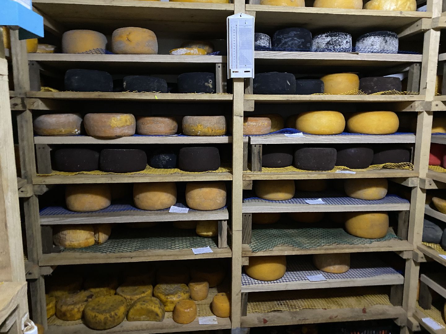 Чехов, ферма, сыр, производство, молочная продукция