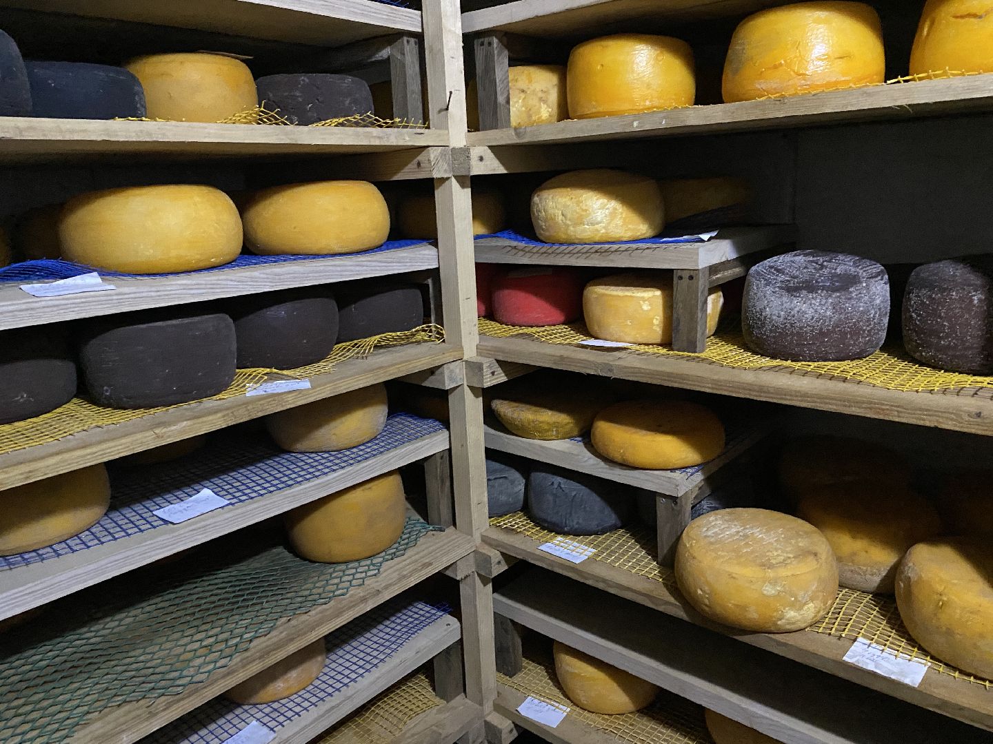 Чехов, ферма, сыр, производство, молочная продукция