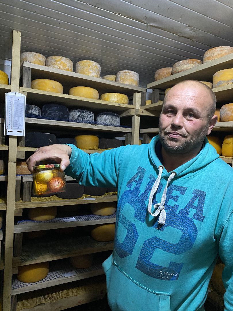 Чехов, ферма, сыр, производство, молочная продукция