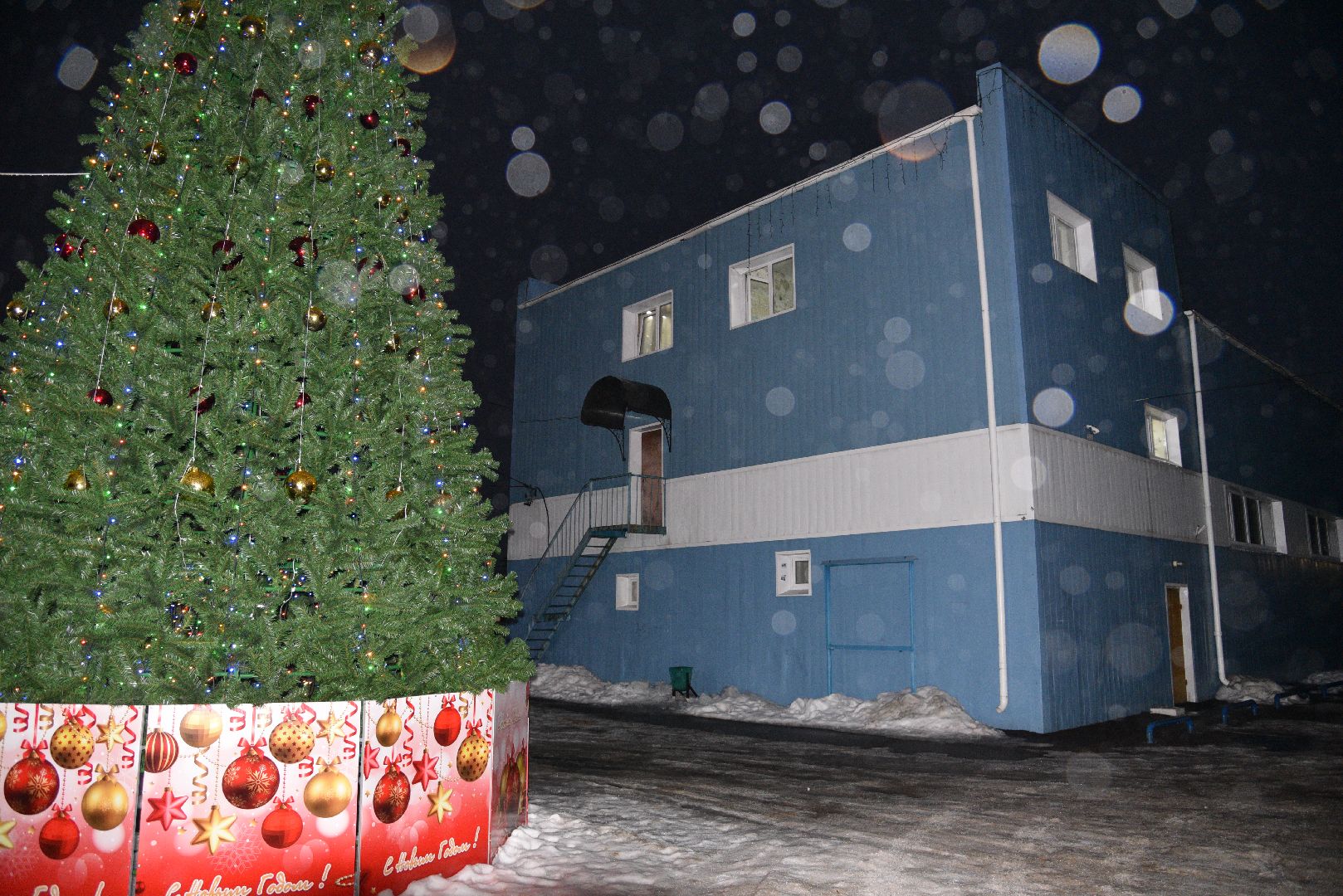 лотошино, армрестлинг, армспорт, лотошинские медведи, соревнования,