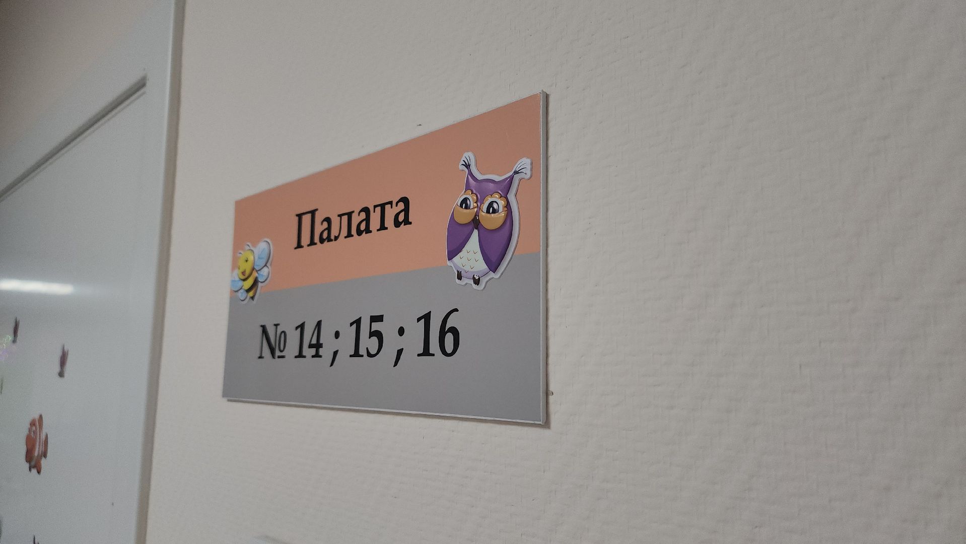 мытищи, роддом,