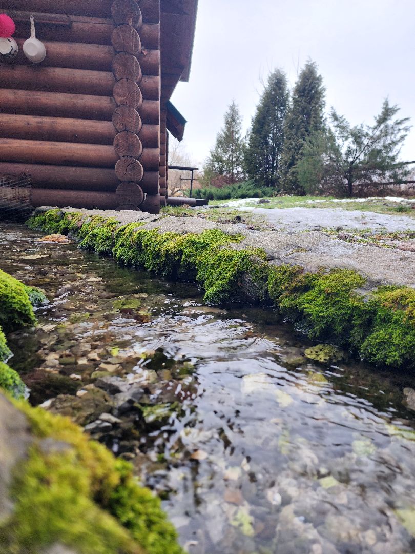 Луховицы, крещение господне, вертикалки,