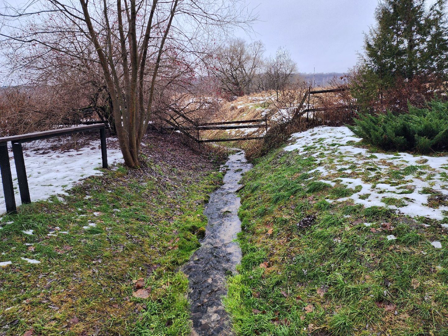Луховицы, крещение господне, вертикалки,