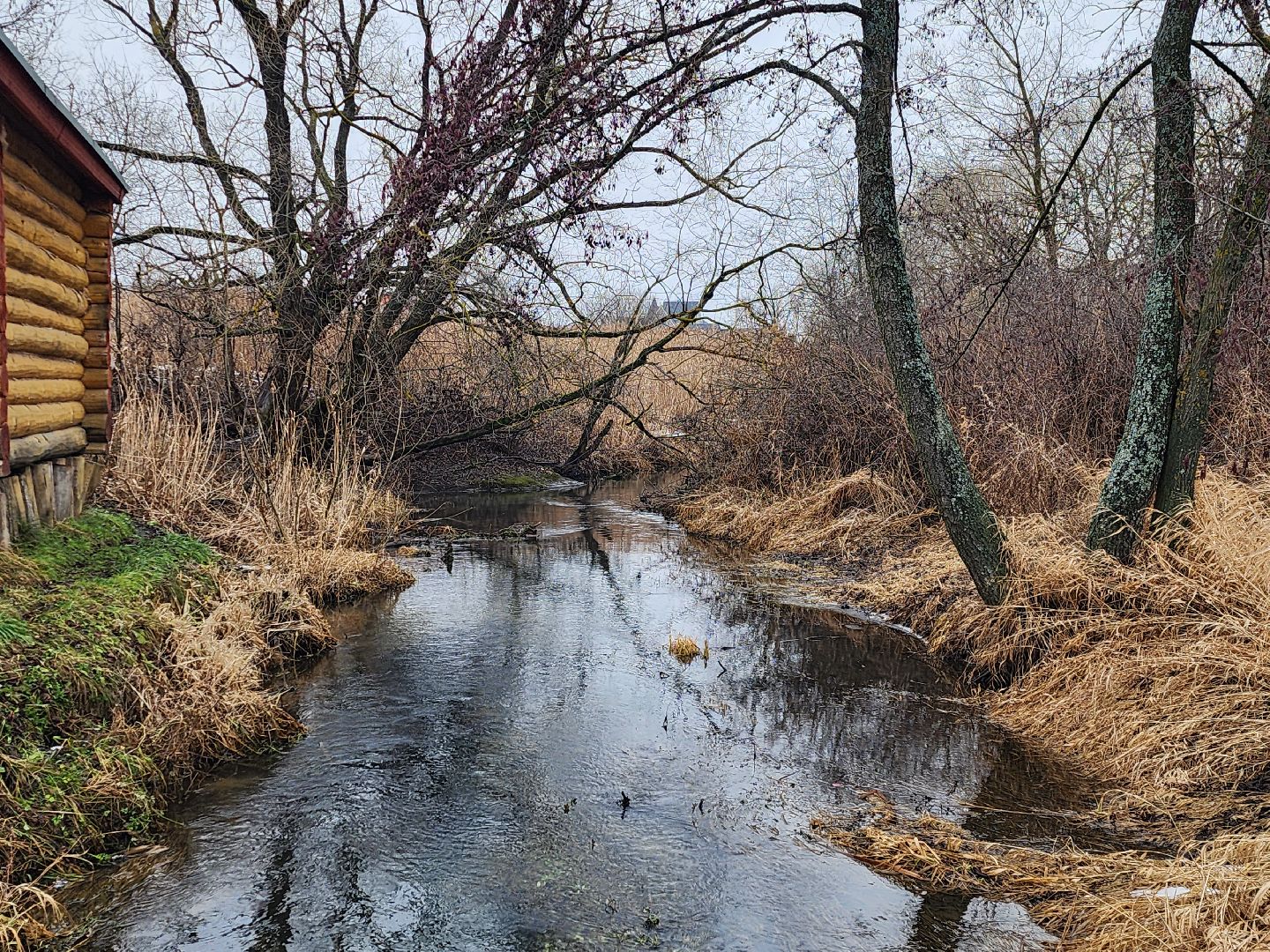 Луховицы, крещение господне, вертикалки,