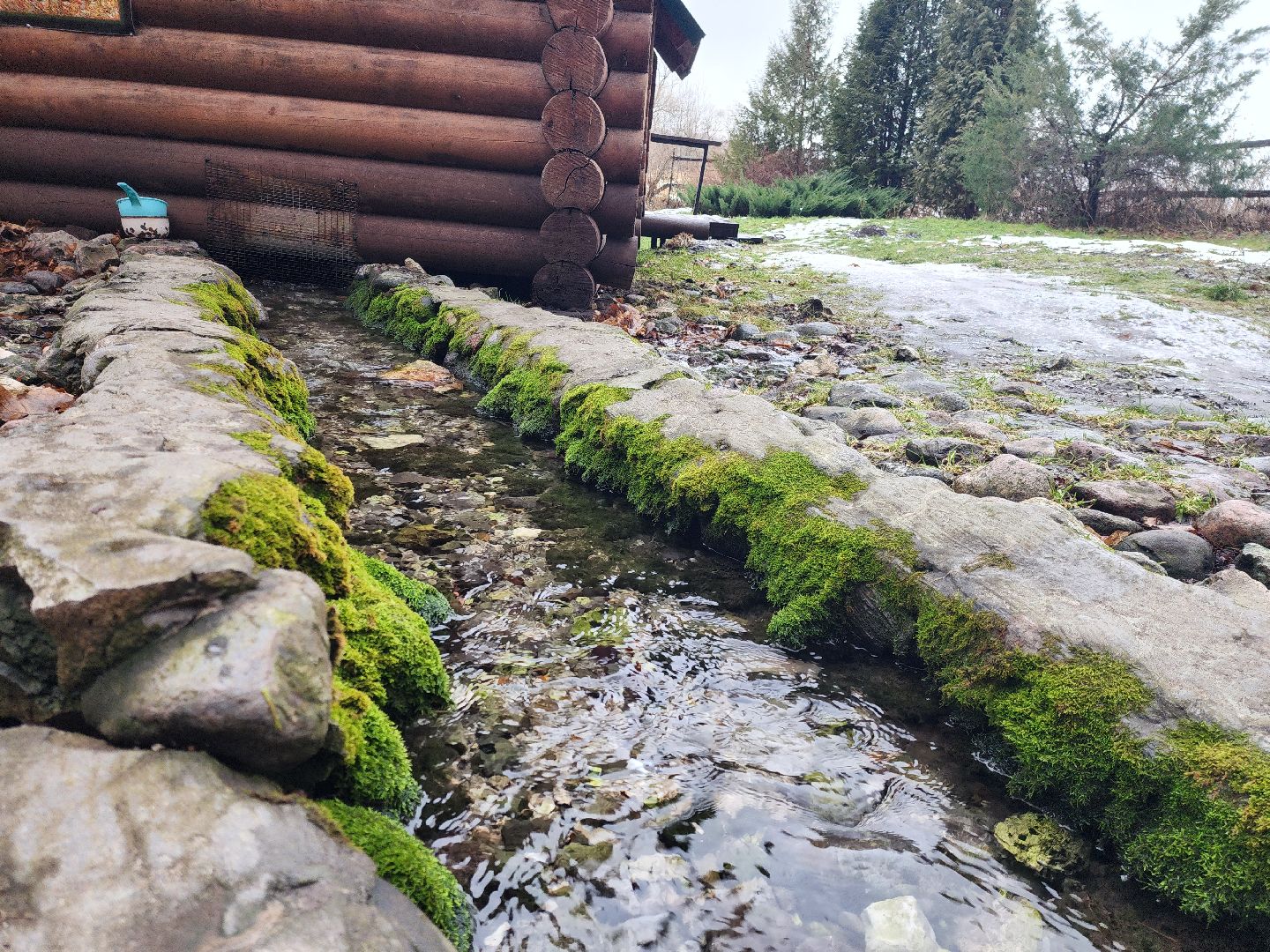 Луховицы, крещение господне, вертикалки,
