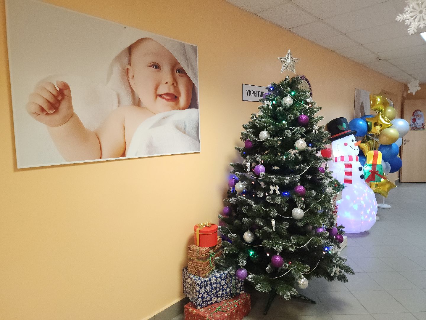 Подольск, Подольский родильный дом, новорожденные дети, Новогодние праздники,