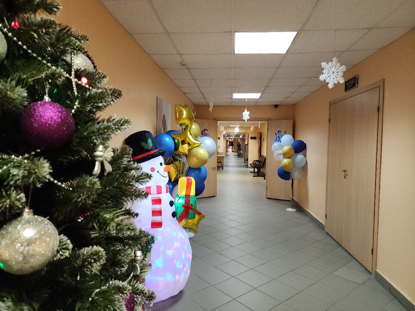 Подольск, Подольский родильный дом, новорожденные дети, Новогодние праздники,