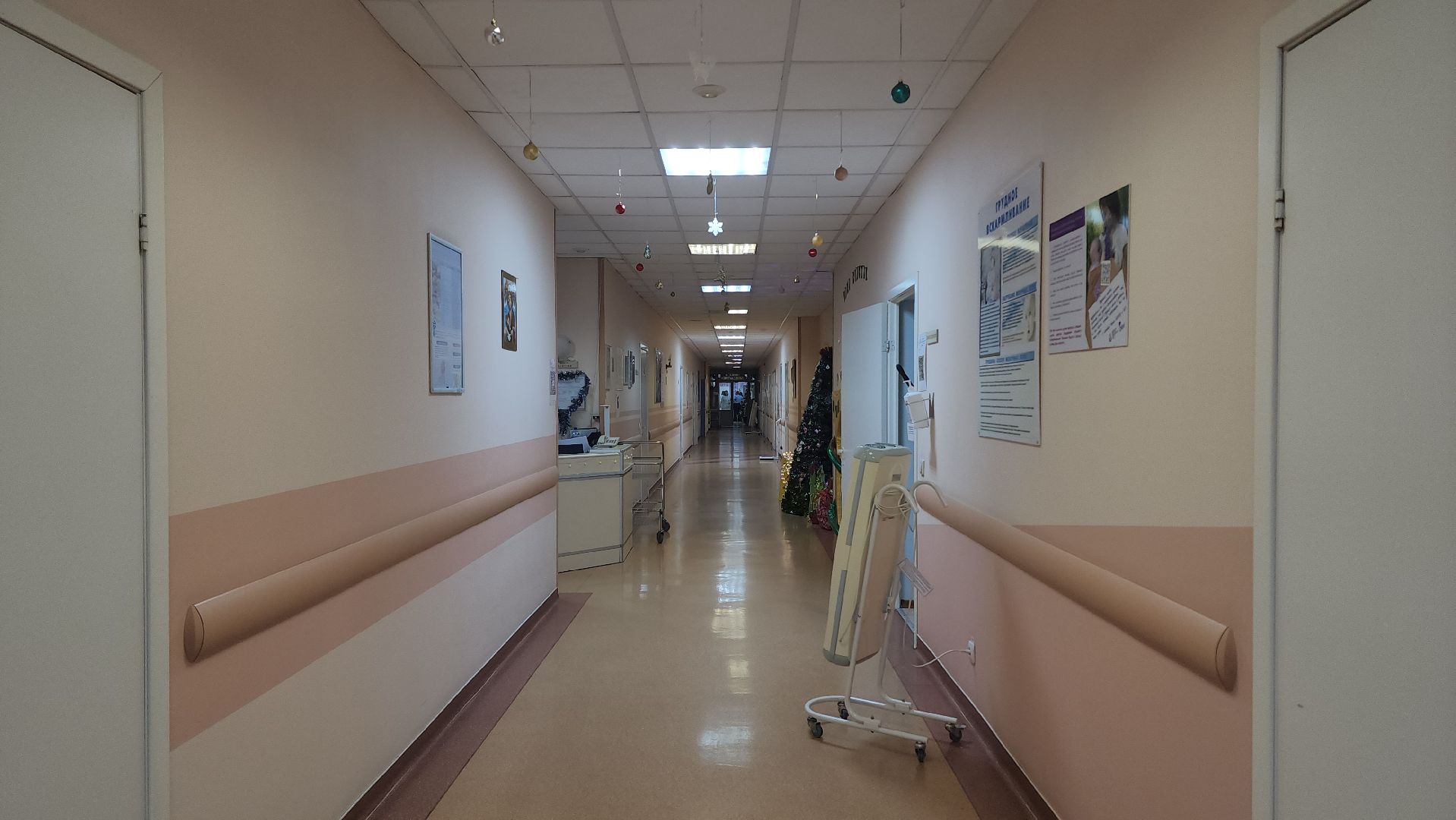 дети, новый год, рождение, рождаемость, рождение детей, младенцы, ребенок, московский областной перинатальный центр, мопц,