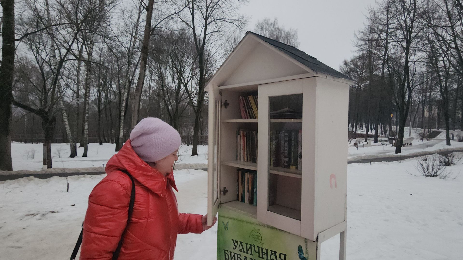 Книги, буккроссинг, Истра,