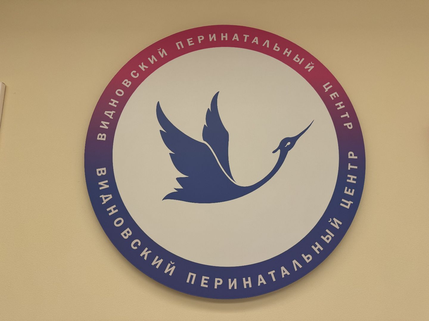 видновский перинатальный центр, Новорожденные, Новорожденные в январе, Роды в видновском перинатальном центре,