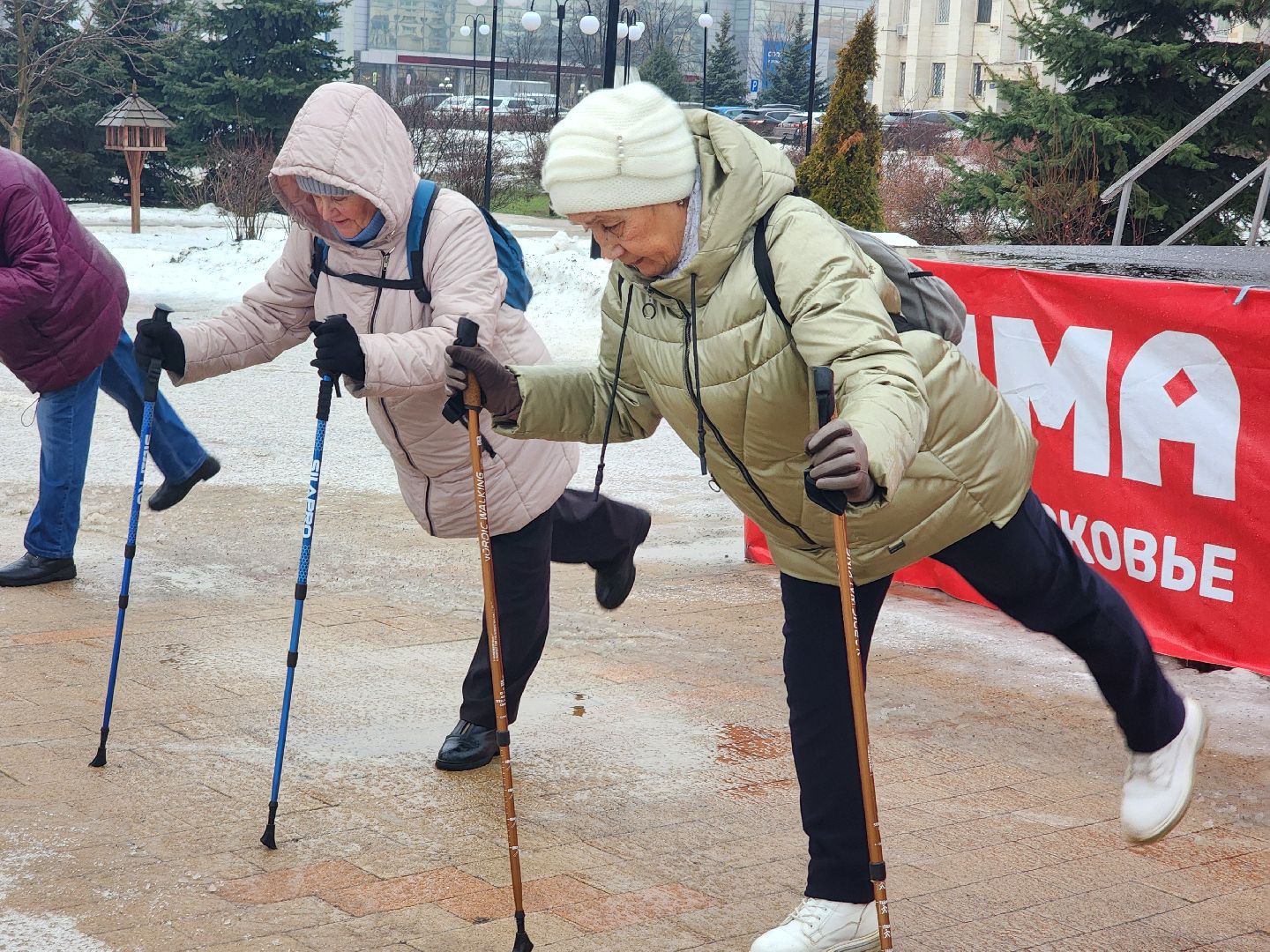 активное долголетие, центральный парк, гимнастика,