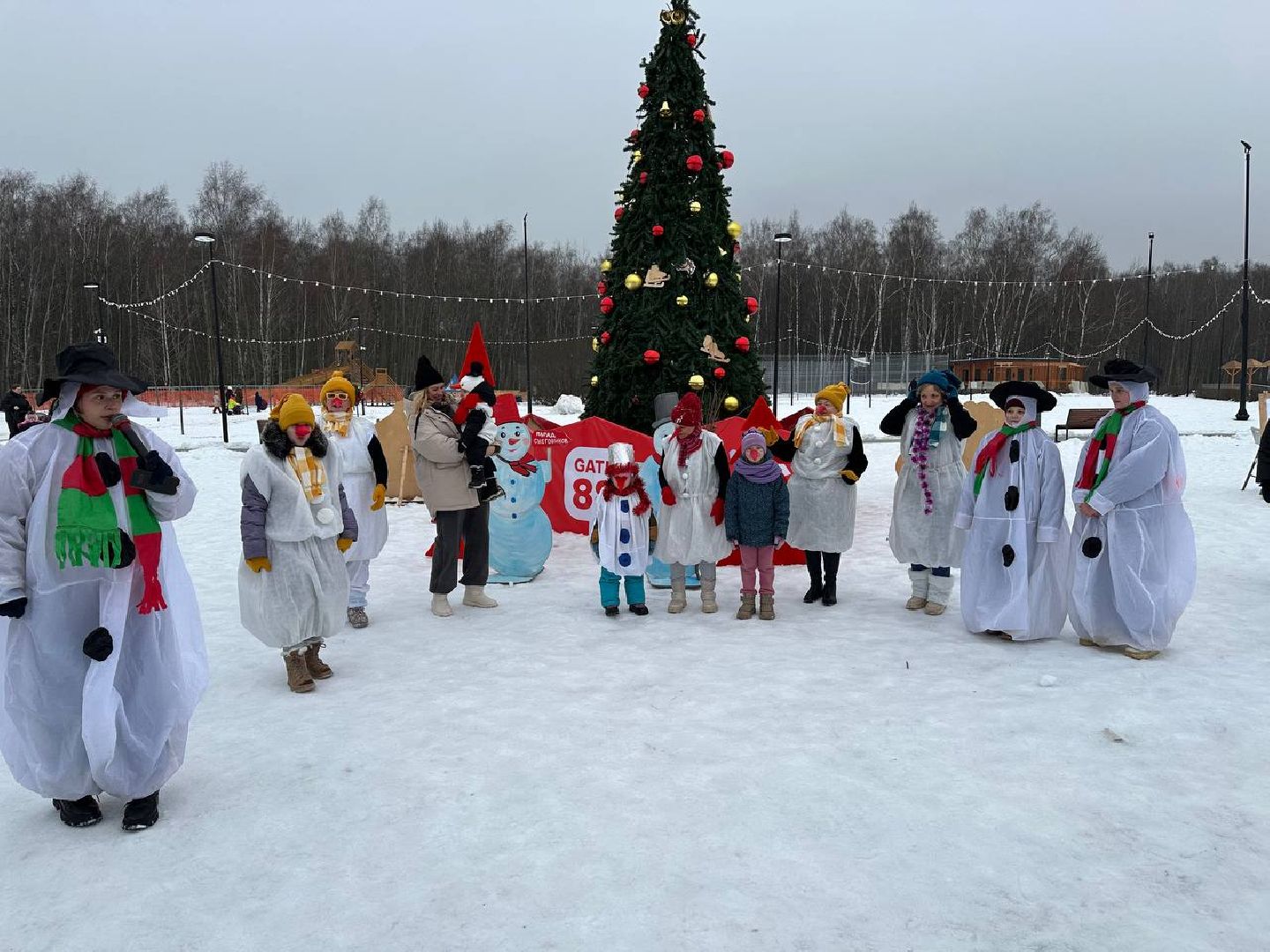 новый год, праздник, зима в подмосковье,