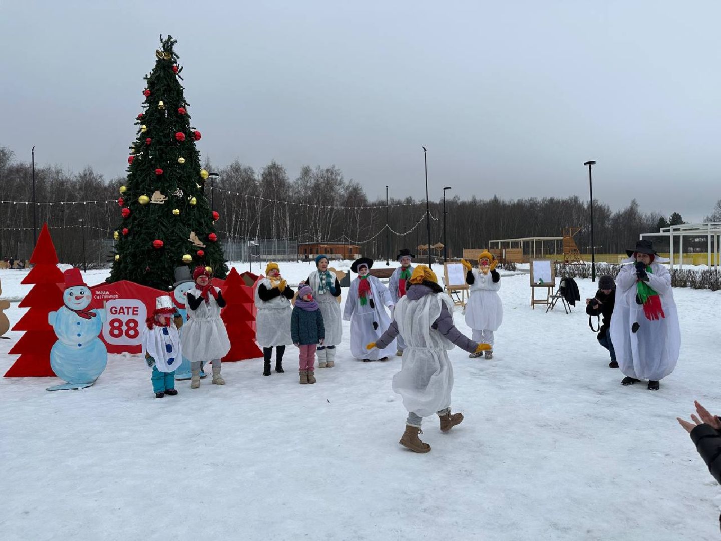 новый год, праздник, зима в подмосковье,