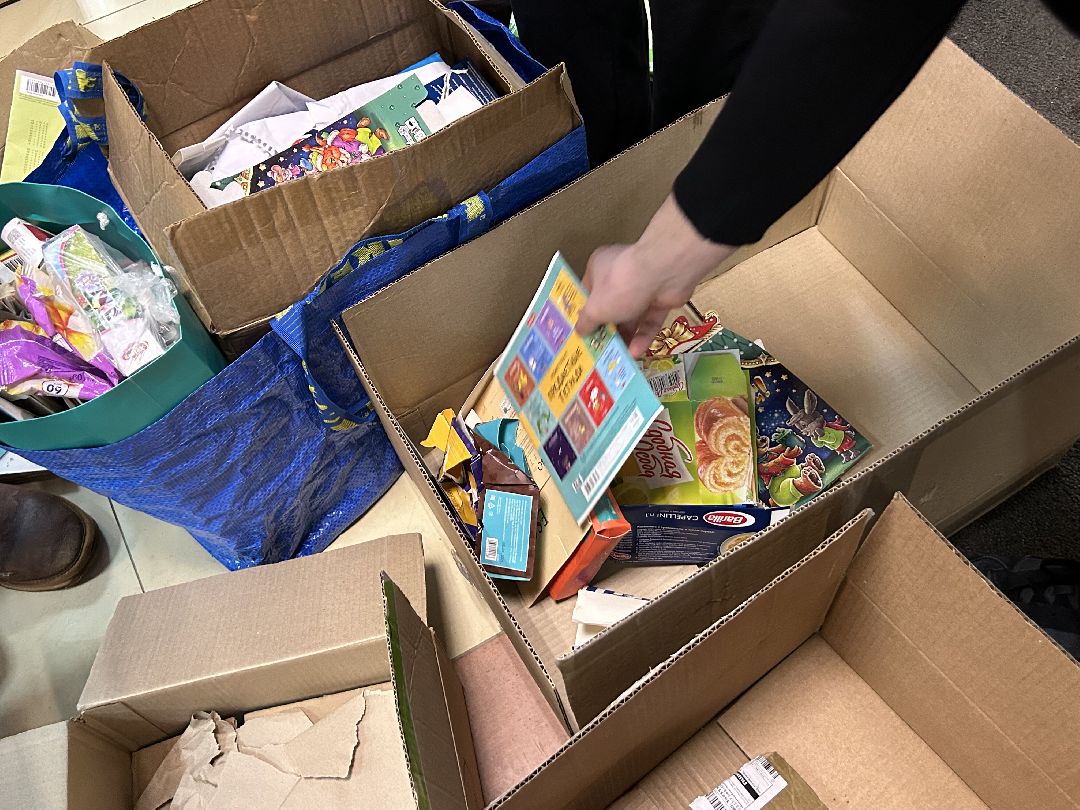 Фрязино, общество