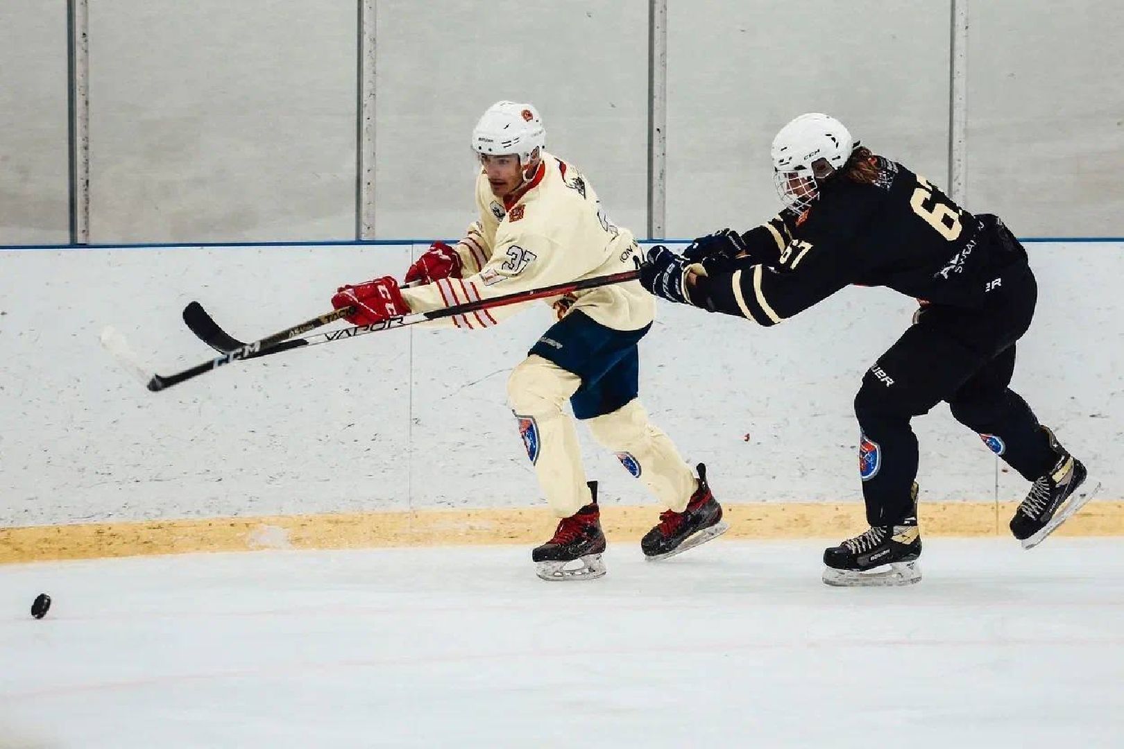 Можайск, Можайский городской округ, студенческая команда, хоккей, студенческая хоккейная лига России, первенство