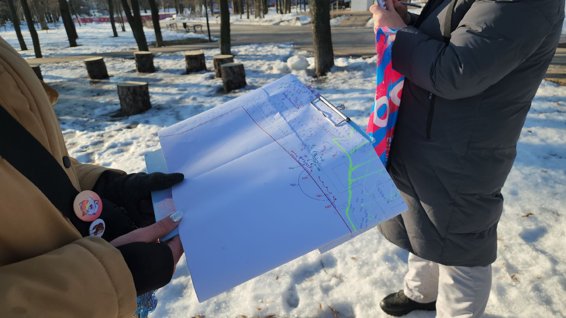 дендрологи, люберцы, обследование деревьев, центральный парк люберец, благоустройство, встреча с жителями, вертикалки,