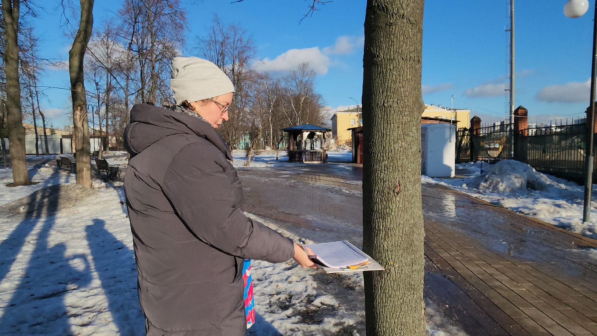 дендрологи, люберцы, обследование деревьев, центральный парк люберец, благоустройство, встреча с жителями, вертикалки,