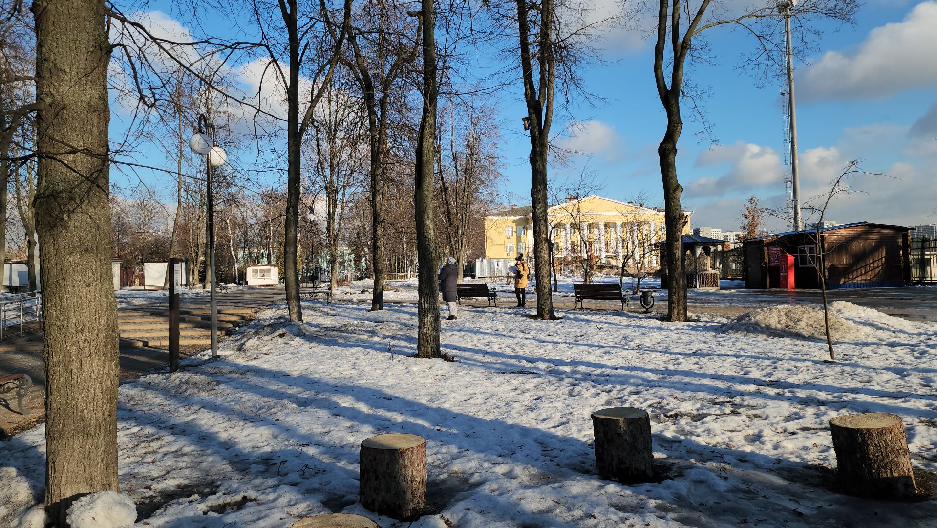 дендрологи, люберцы, обследование деревьев, центральный парк люберец, благоустройство, встреча с жителями, вертикалки,