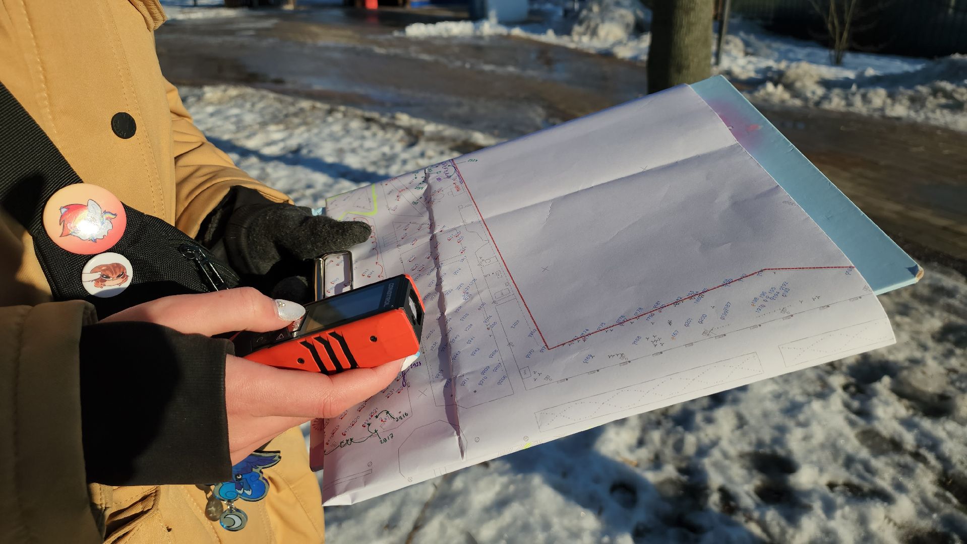 дендрологи, люберцы, обследование деревьев, центральный парк люберец, благоустройство, встреча с жителями, вертикалки,