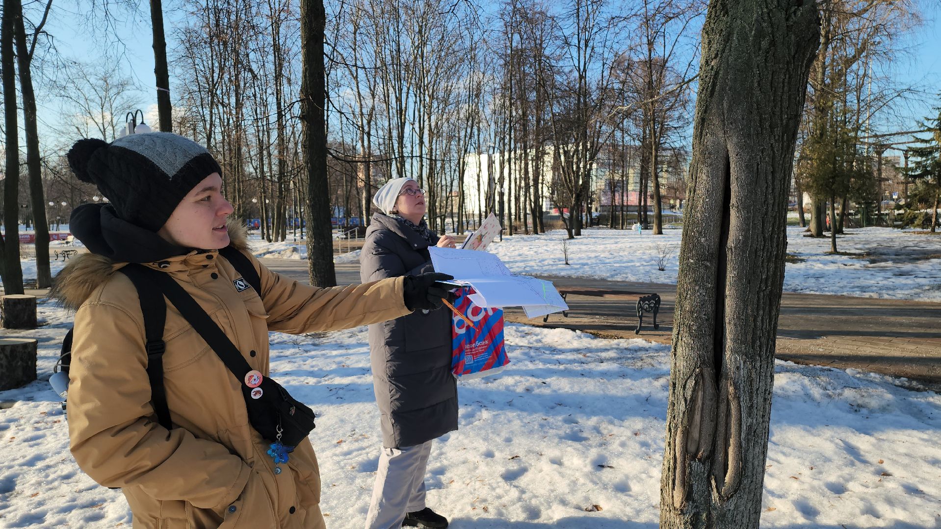 дендрологи, люберцы, обследование деревьев, центральный парк люберец, благоустройство, встреча с жителями, вертикалки,