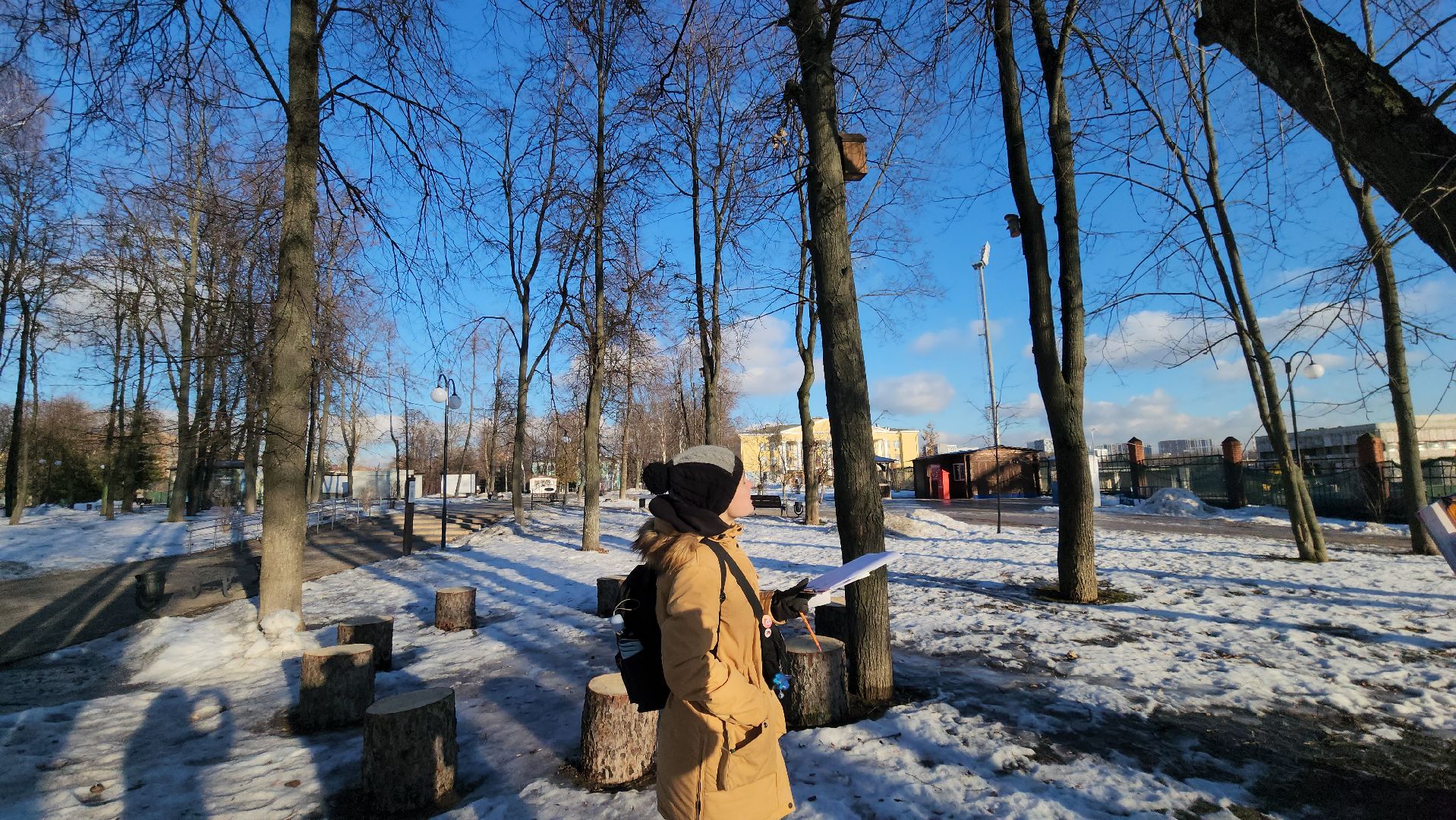 дендрологи, люберцы, обследование деревьев, центральный парк люберец, благоустройство, встреча с жителями, вертикалки,