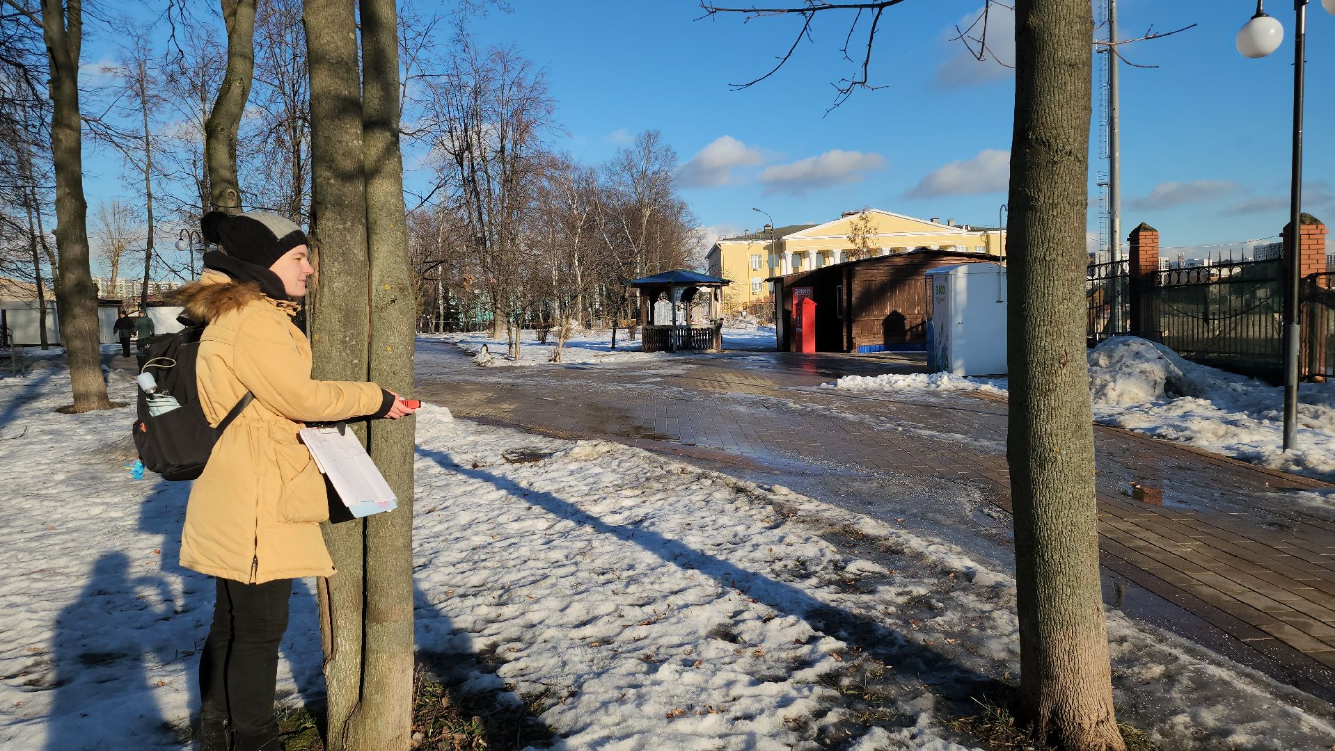 дендрологи, люберцы, обследование деревьев, центральный парк люберец, благоустройство, встреча с жителями, вертикалки,