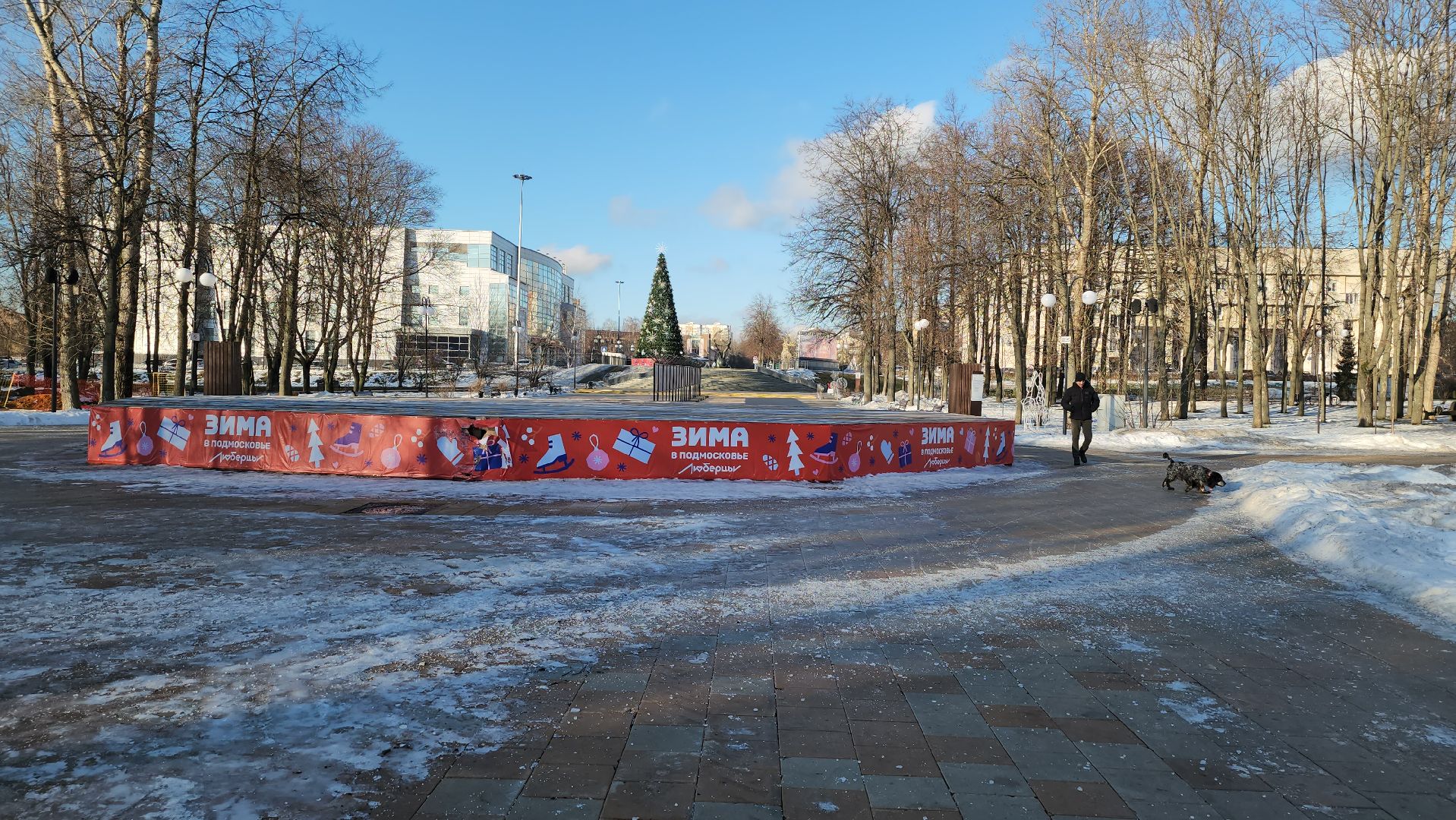 дендрологи, люберцы, обследование деревьев, центральный парк люберец, благоустройство, встреча с жителями, вертикалки,