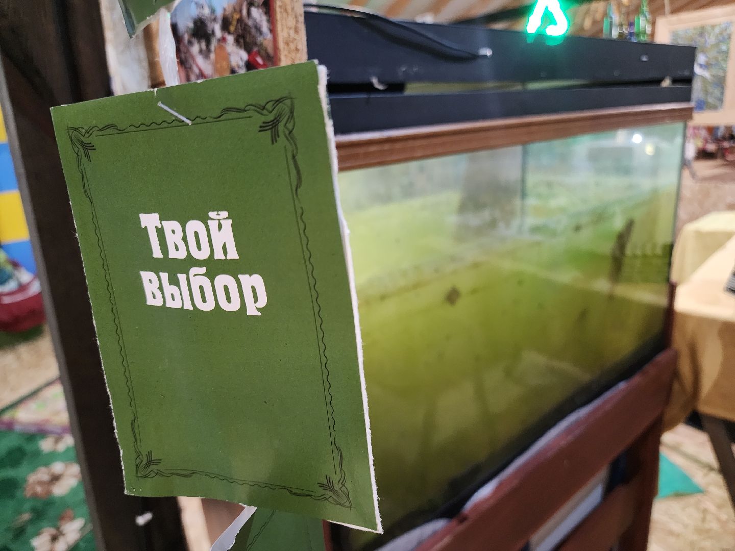 вертикалки, Егорьевск, Подмосковье, Московская область, Волонтеры,