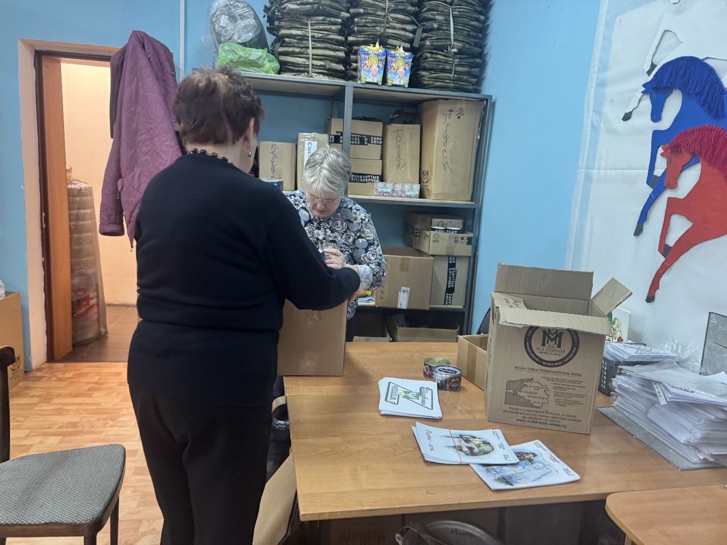 шаховская, сво, гуманирная помощь, волонтеры, вертикалки,