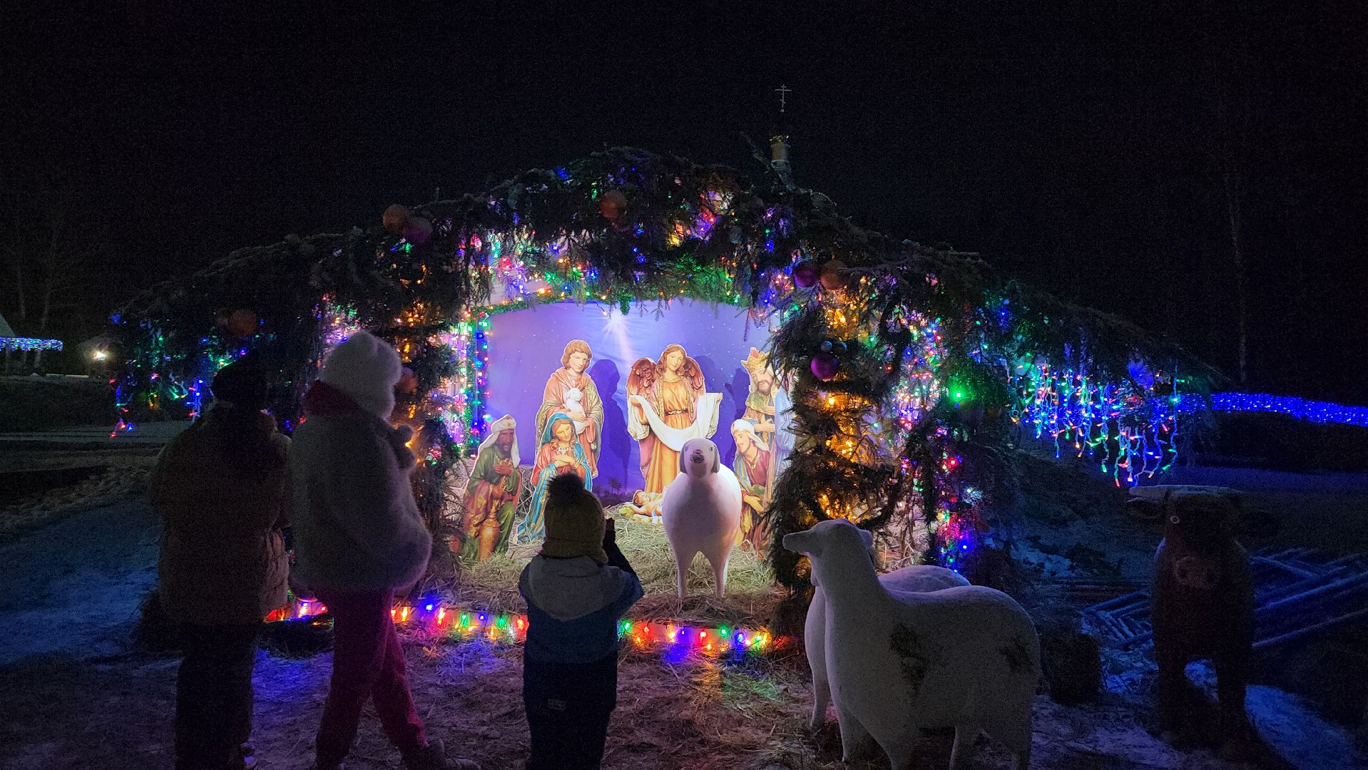 серпухов, подмосквье, сераксеево, старый новый год, вертикалки,