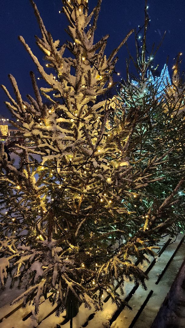 конкурс Елки России, Елка Богородский бал, Фонтанная площадь, Ногинск, Богородский городской округ,