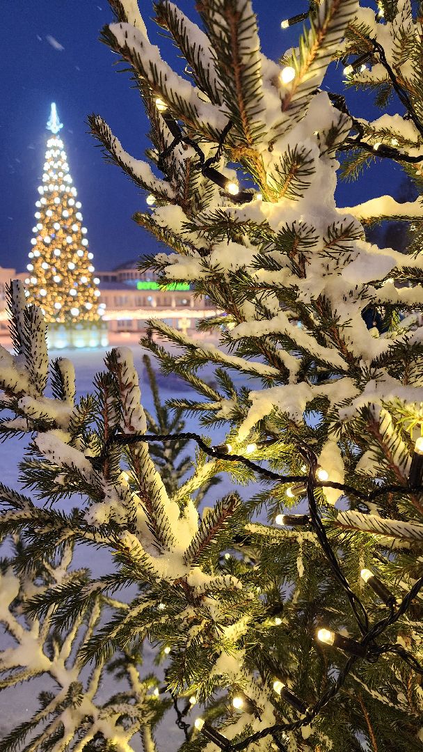 конкурс Елки России, Елка Богородский бал, Фонтанная площадь, Ногинск, Богородский городской округ,