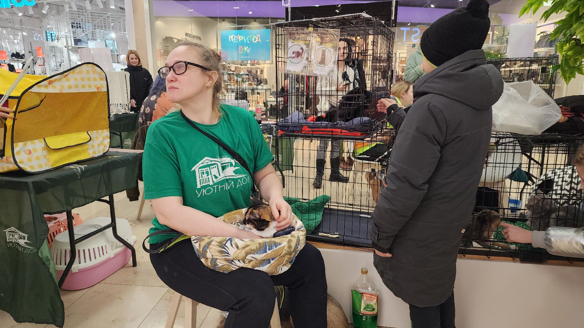 вертикалка, пушкино, бездомные животные, пристройство, кошки, собаки, волонтерство, приют для животных,