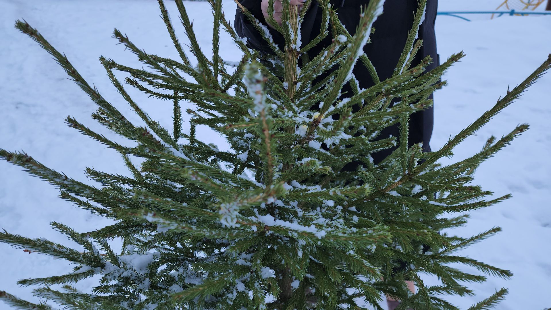 вторичная переработка, руза, экология, экология рузы, экология подмосковья, зима в подмосковье, зима в рузе,