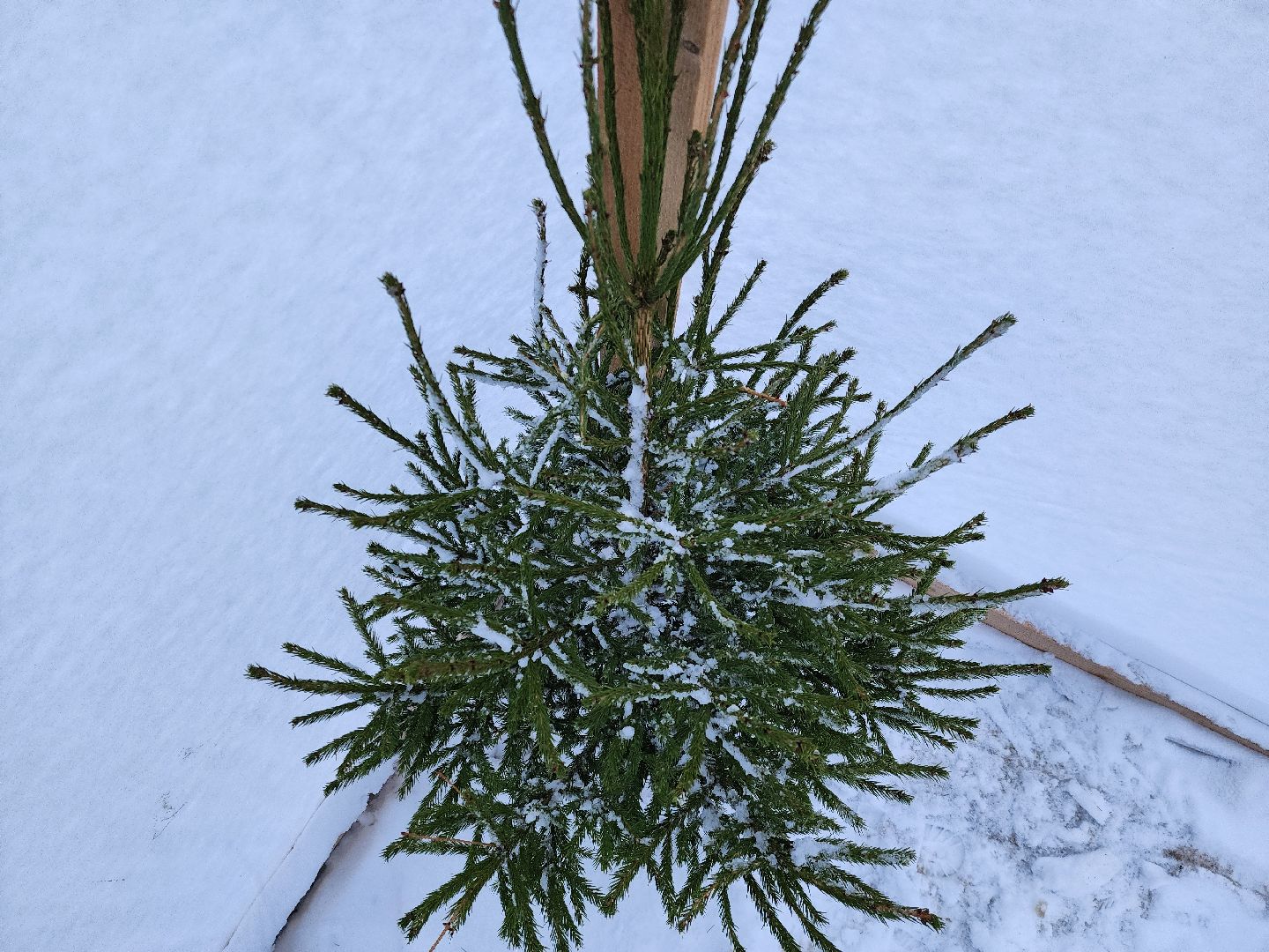 вторичная переработка, руза, экология, экология рузы, экология подмосковья, зима в подмосковье, зима в рузе,